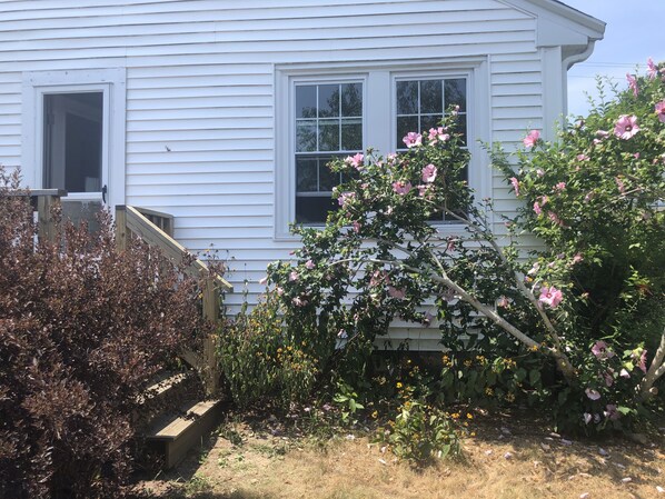 Détail de l’extérieur