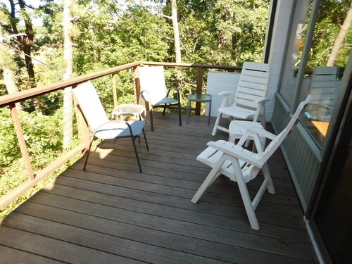 Contemporary Cottage in the woods of Wellfleet (CS0023)