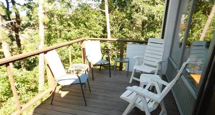 Contemporary Cottage in the woods of Wellfleet (CS0023)