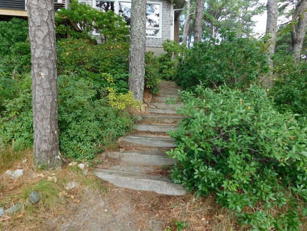 Property grounds - Marsh front, Gorgeous Waterview and Deck (CS0025) (Wellfleet)