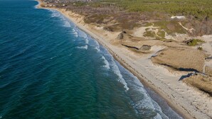 A coastal landscape with a sandy beach and a forested area. - Newly Reno'd GORGEOUS, Water View, Beach Access (CS0034) (Wellfleet)