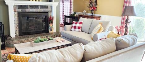 Smart TV, lareira, livros