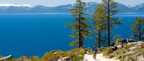 Area Photo - South Lake Tahoe is home to amazing mountain bicycling and hiking trails