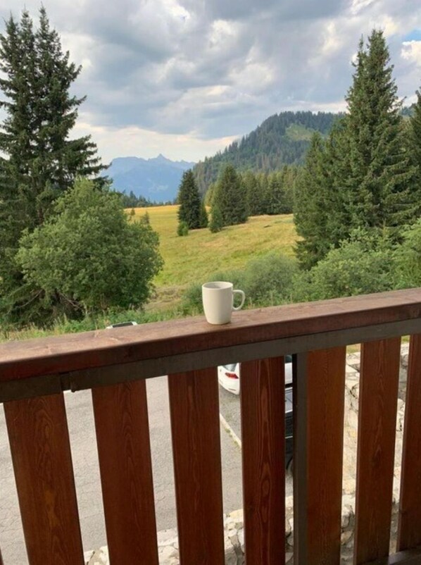 Property grounds - Appartement Tout Confort Résidence les Terrasses du Mont Blanc au Praz de Lys (Taninges)