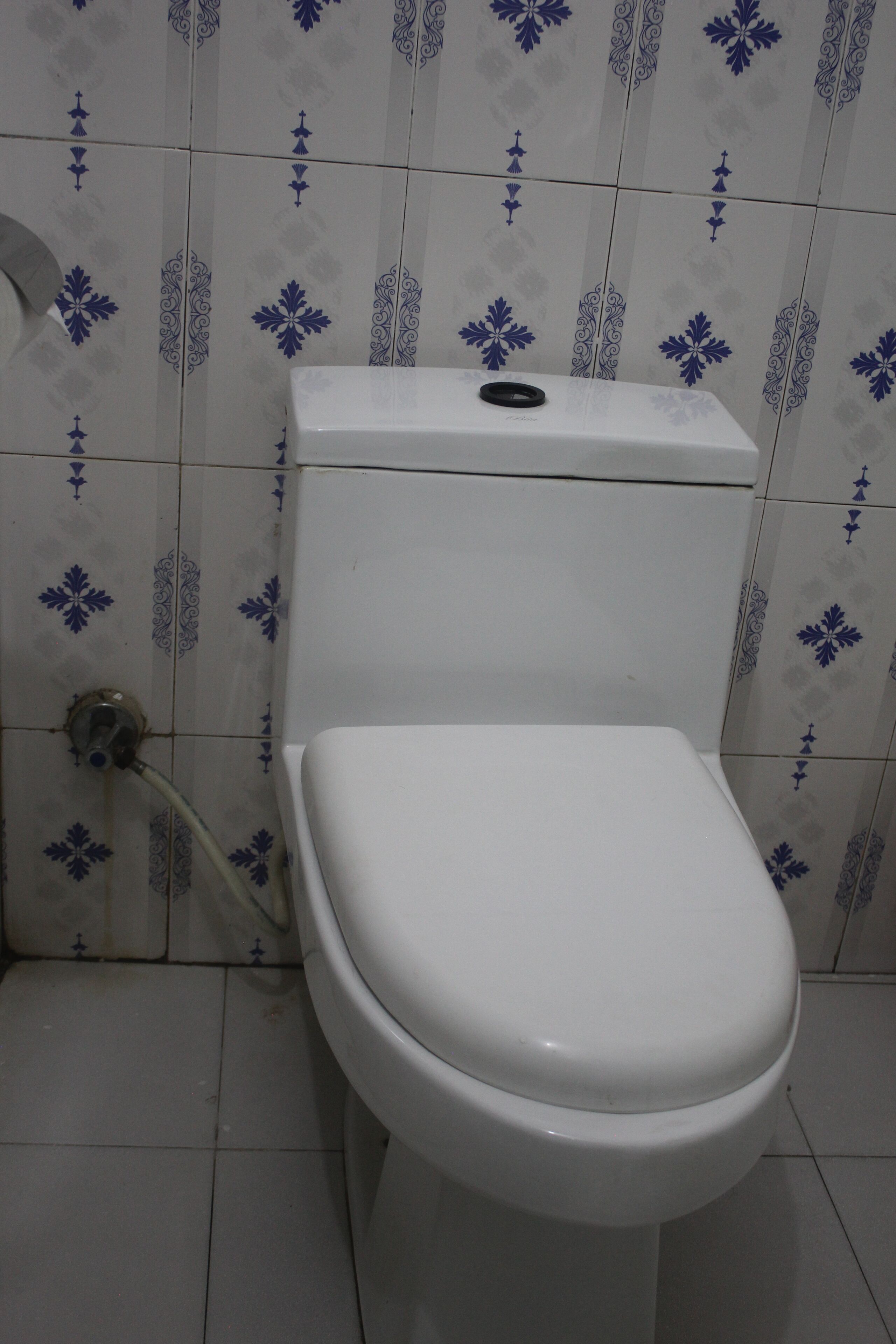 Un inodoro blanco con tanque y un inodoro de lavado, frente a una pared con diseños de flores azules.
