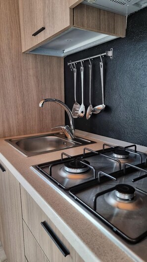 Fridge, microwave, stovetop, dishwasher