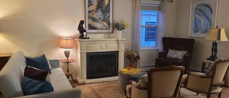 TV, fireplace, books