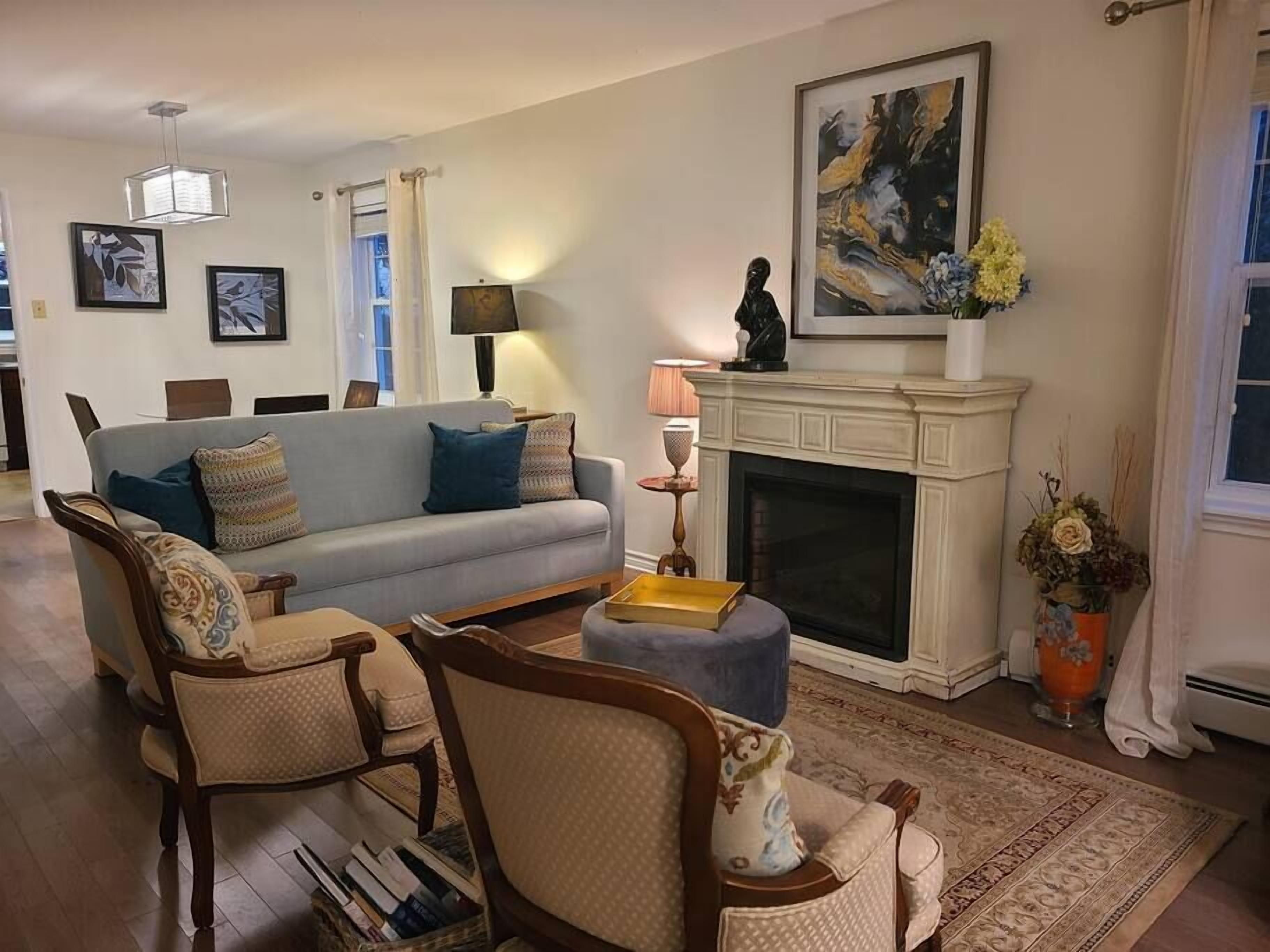 TV, fireplace, books