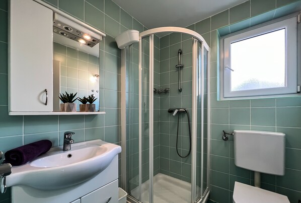 Shower, hair dryer, towels, soap