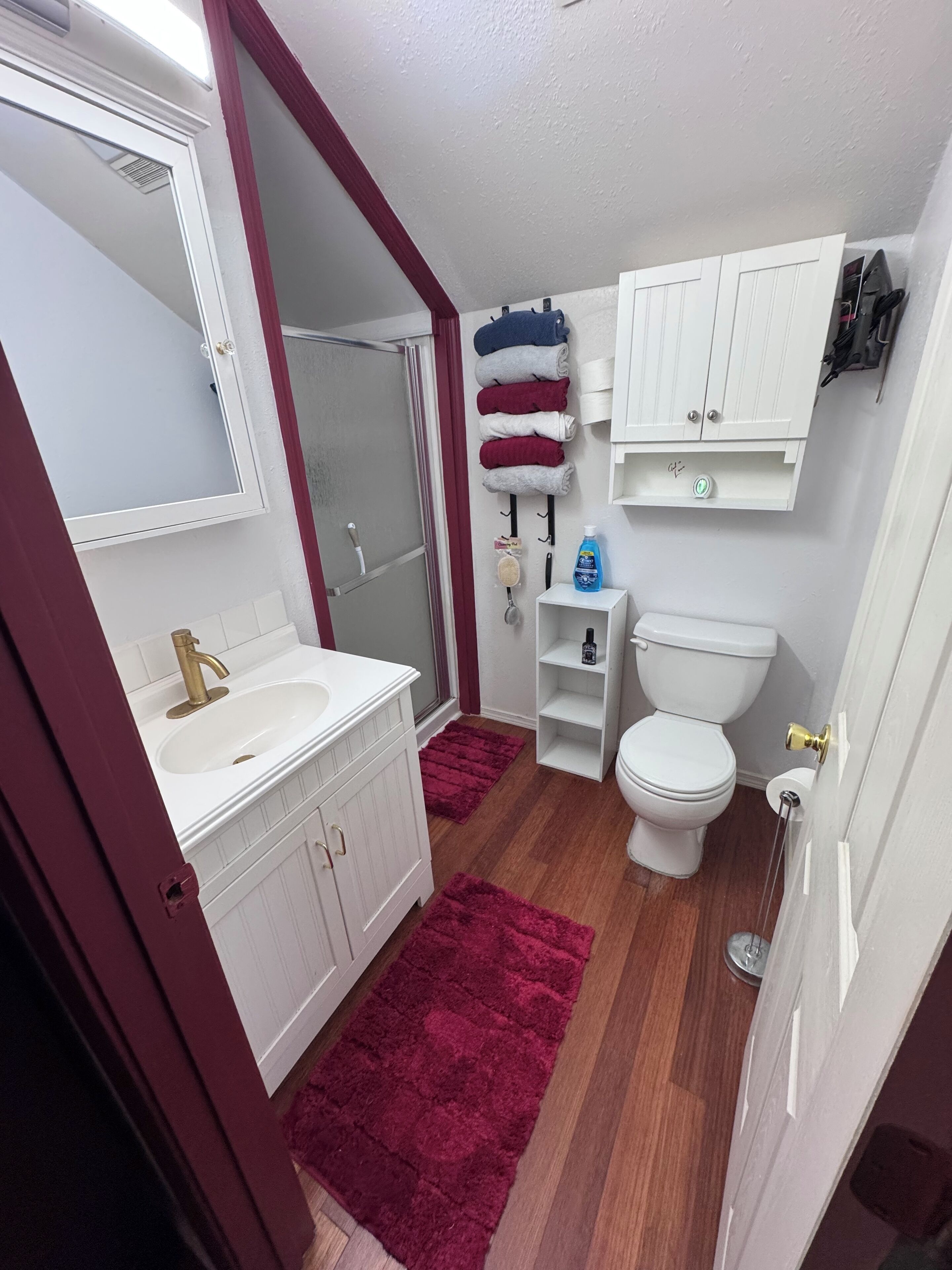 Hair dryer, towels, soap, shampoo