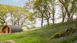 A small, arched wooden structure with a door and windows, surrounded by lush green grass and purple flowers, set against a backdrop of trees. - Conwy Pod (Llanrwst)