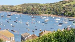 A coastal village with numerous boats docked along the shore, surrounded by green hills and a clear sky. - Thornberry (Salcombe)