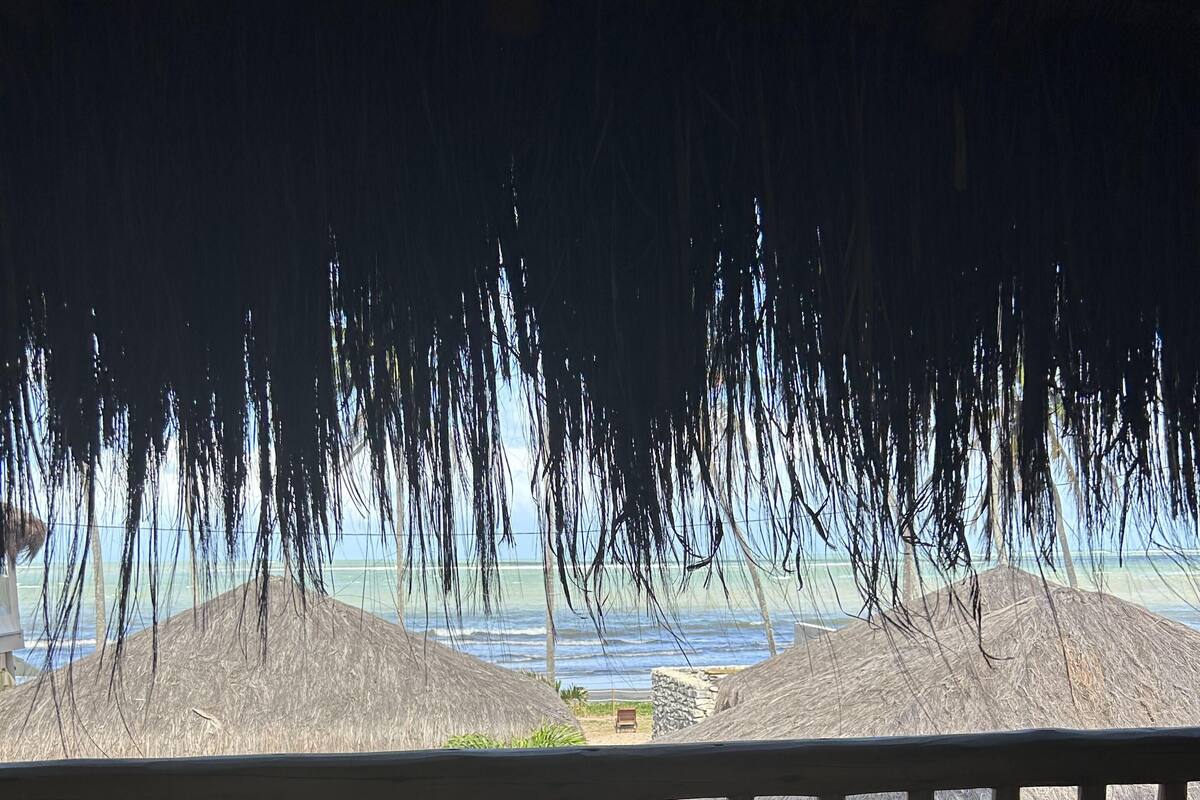 Un hamac agrémenté de coussins tissés, un toit de chaume et une vue sur la plage et l’océan.