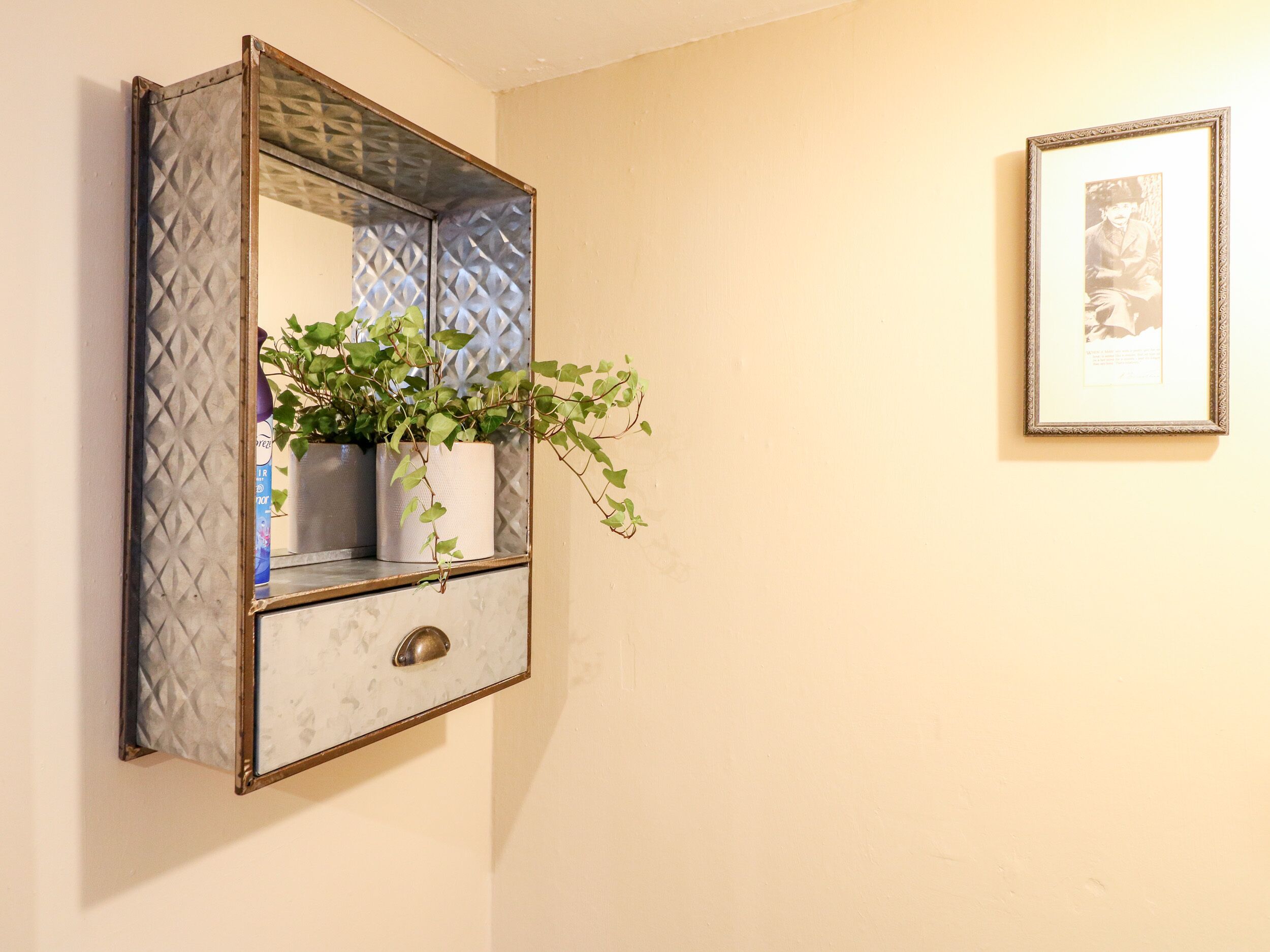 Un miroir avec un cadre texturé, un petit tiroir et deux plantes en pot.