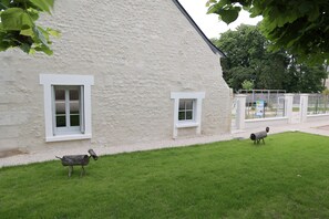Property grounds - Gite La Loire 4/5 Personnes à la Campagne Prés des Vergers (Lignières-de-Touraine)