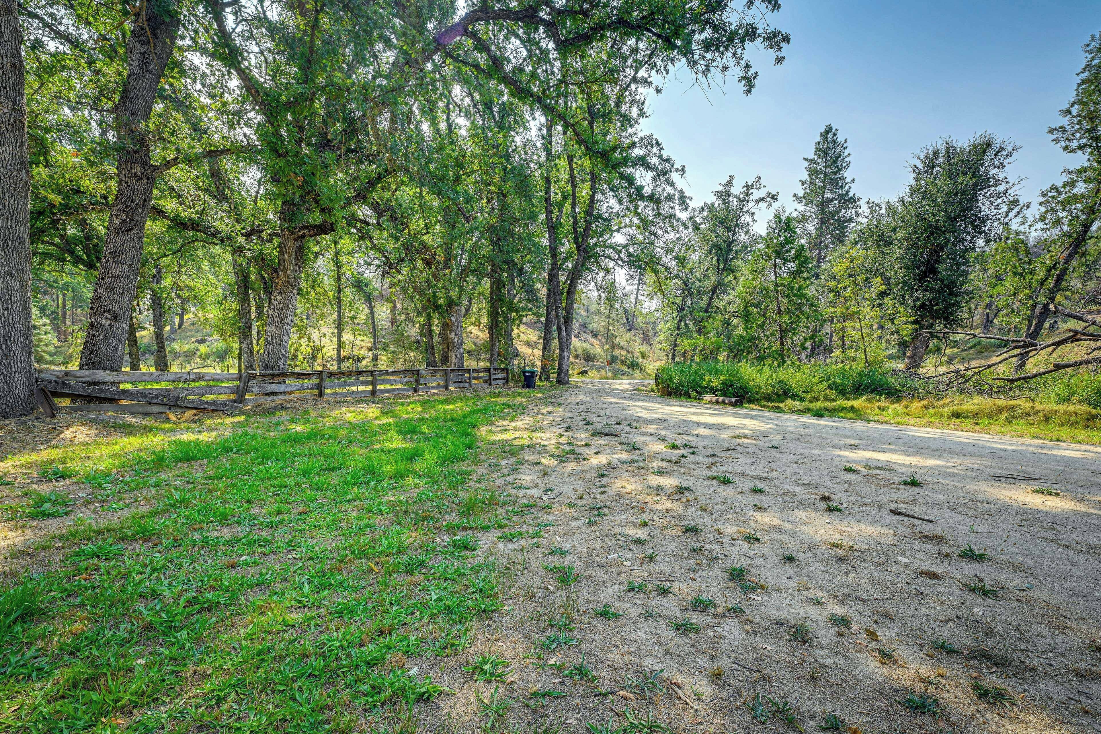 A paved path through a wooded area with a wooden fence on one side.