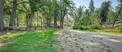 A paved path through a wooded area with a wooden fence on one side.