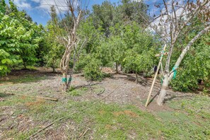 Hus (1 Bedroom) | Innvendig