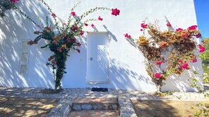A white building with a stone pathway leading to a door.