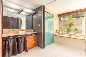Shower, eco-friendly toiletries, hair dryer, towels