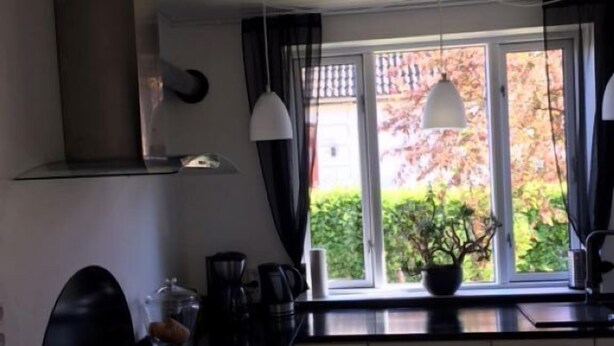 Una cocina moderna con estufa, cafetera y ventana con vista a árboles.