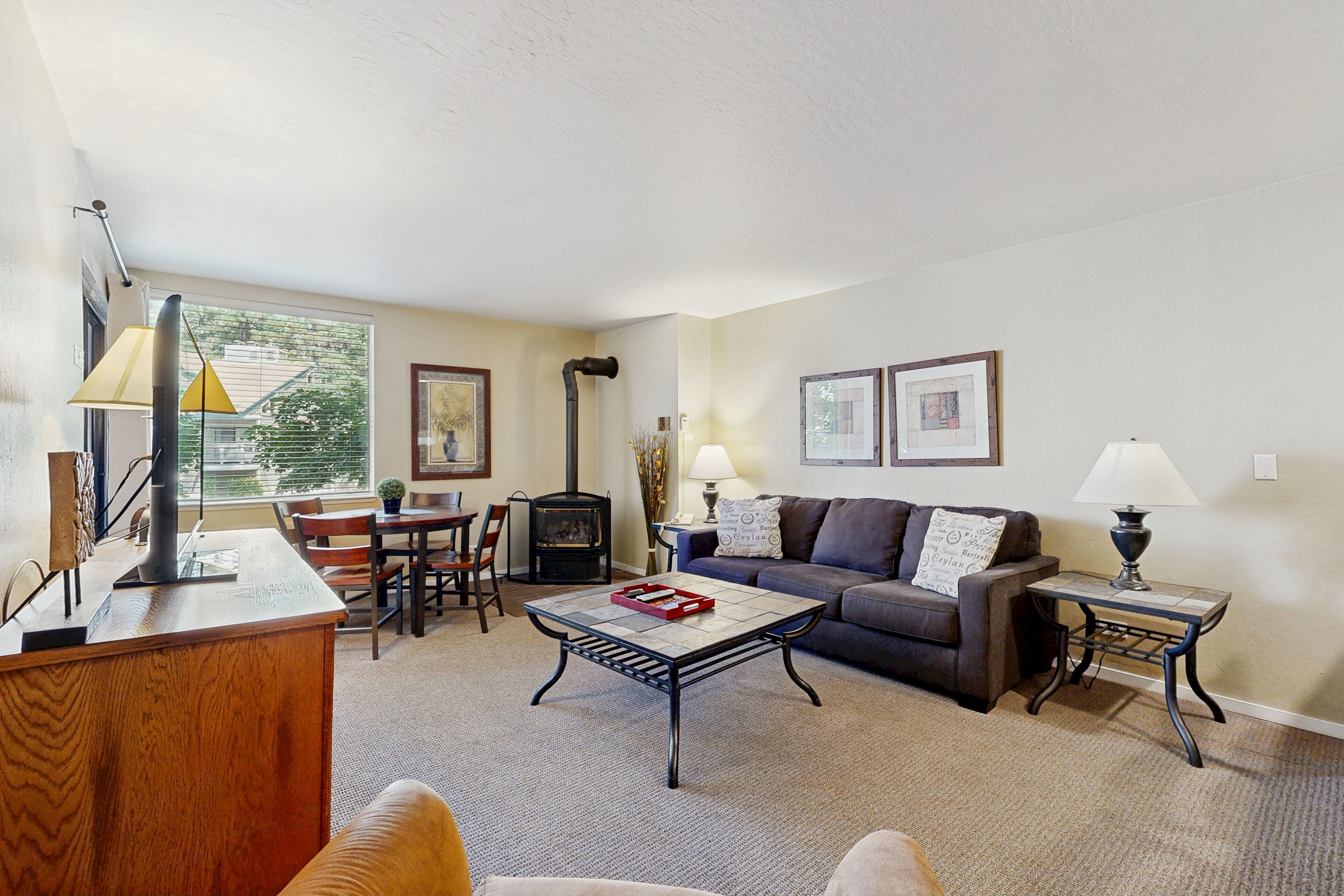 TV, fireplace, DVD player