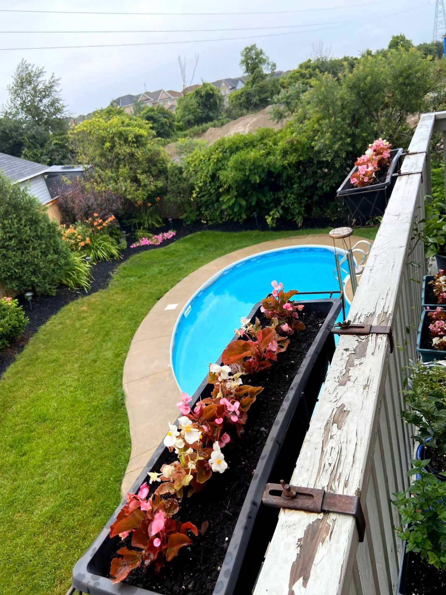 A residential backyard with a swimming pool, a wooden deck, and various potted plants.