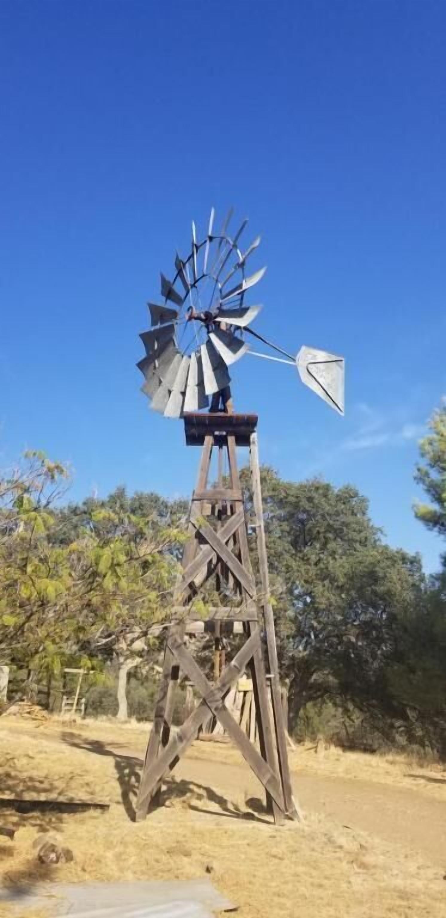 A windmill with a wooden structure and a metal base, set against a clear blue sky and surrounded by trees.