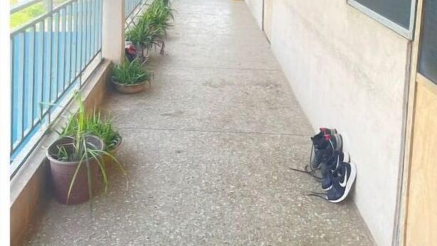 Un pasillo con piso de concreto, plantas en macetas, barandal azul y una pizarra en la pared.