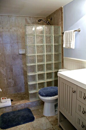 Hair dryer, towels, soap, toilet paper