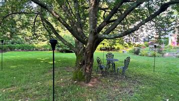 A tree with a table and chairs underneath.