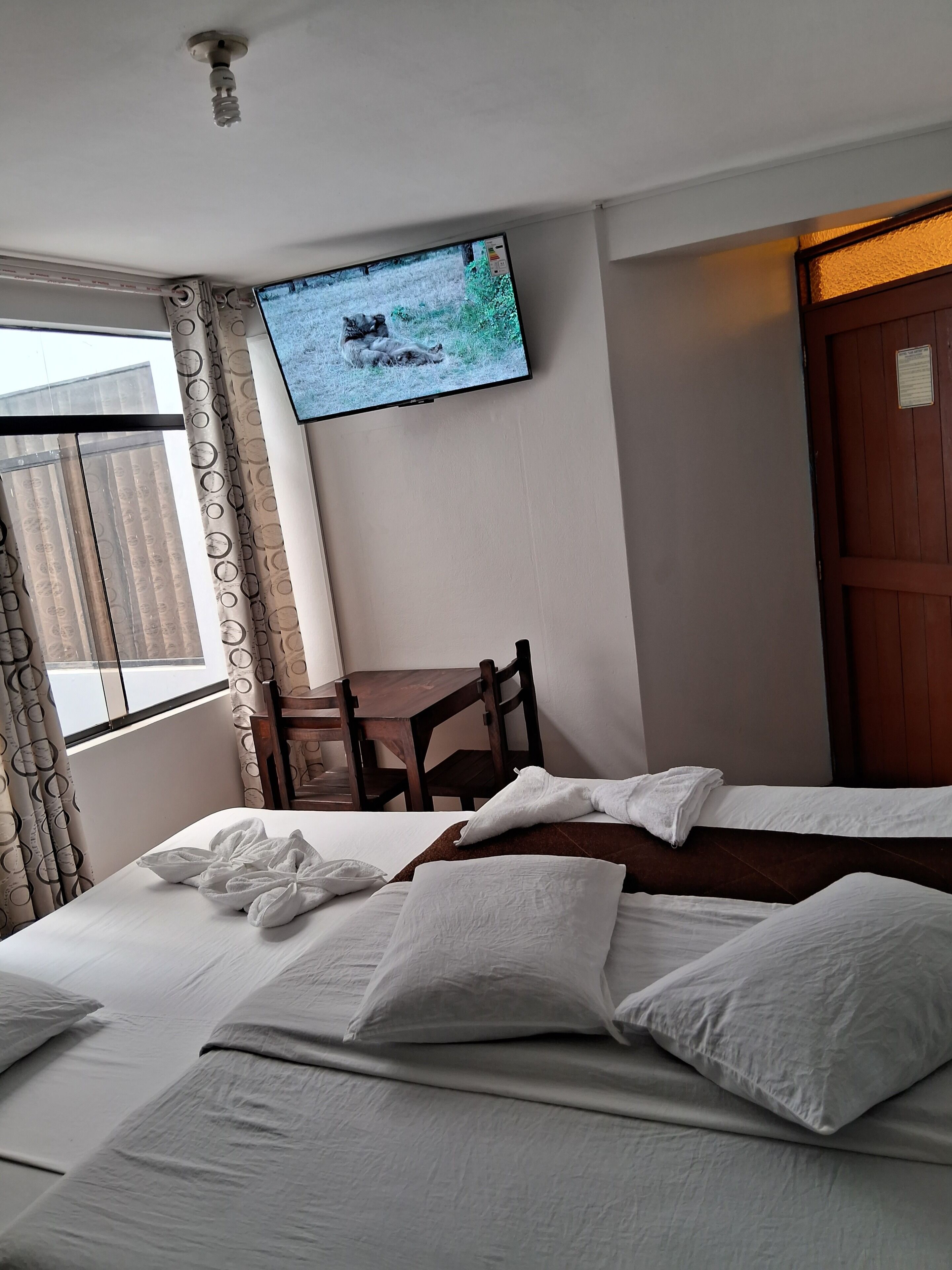 Photo - Hotel Las Artes Inn