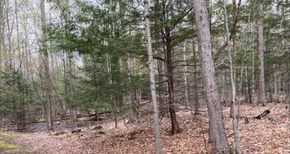 In the woods