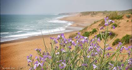 La Petite Marine 150m from the beach