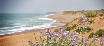 La Petite Marine 150m from the beach