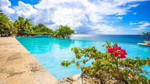 A clear blue pool with a view of the ocean and palm trees.
