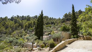 A stone house with a stone staircase leading to a flat roof terrace, surrounded by olive trees and a hilly landscape. - 3 bedroom villa with private pool (Mancor de la Vall)