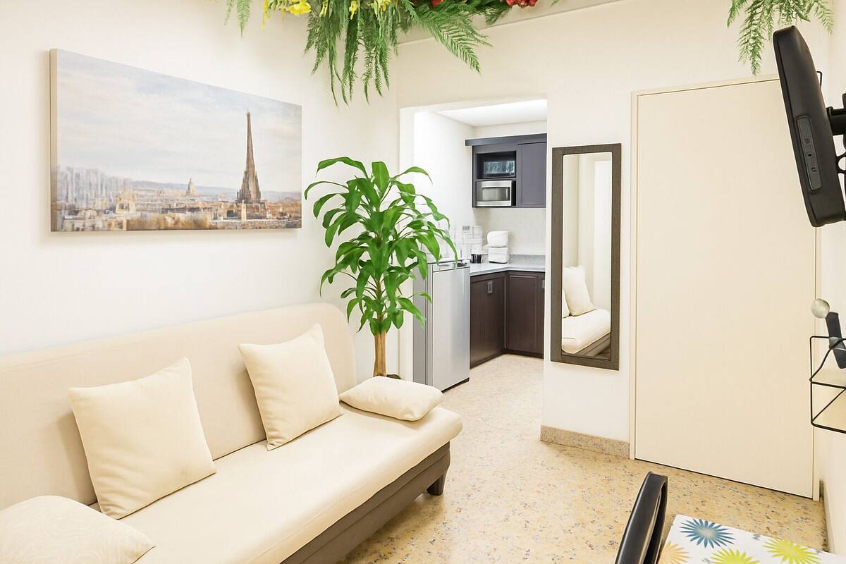 Un salon avec un canapé, une plante en pot, un coin cuisine équipé d’un four à micro-ondes et un tableau encadré au mur.