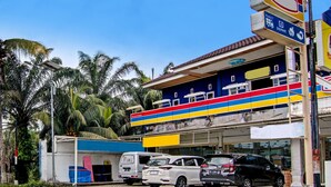 Un immeuble à plusieurs étages, avec une façade bleue et jaune, des voitures garées et des palmiers en arrière-plan.