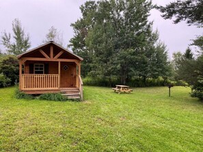 Property grounds - Main Farm Cabin
 (Arkport)