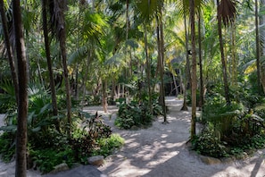 Exterior - UMi Tulum   (Tulum)
