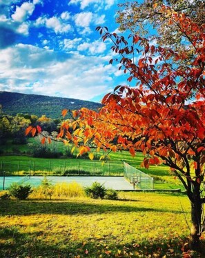 Terrain de sport