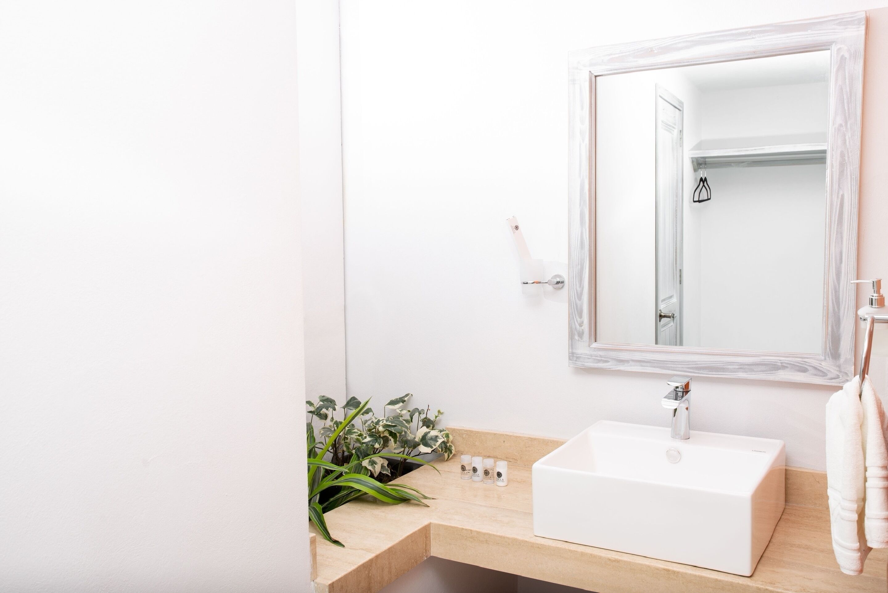 A bathroom with a white sink, a mirror, a towel rack, and a plant.
