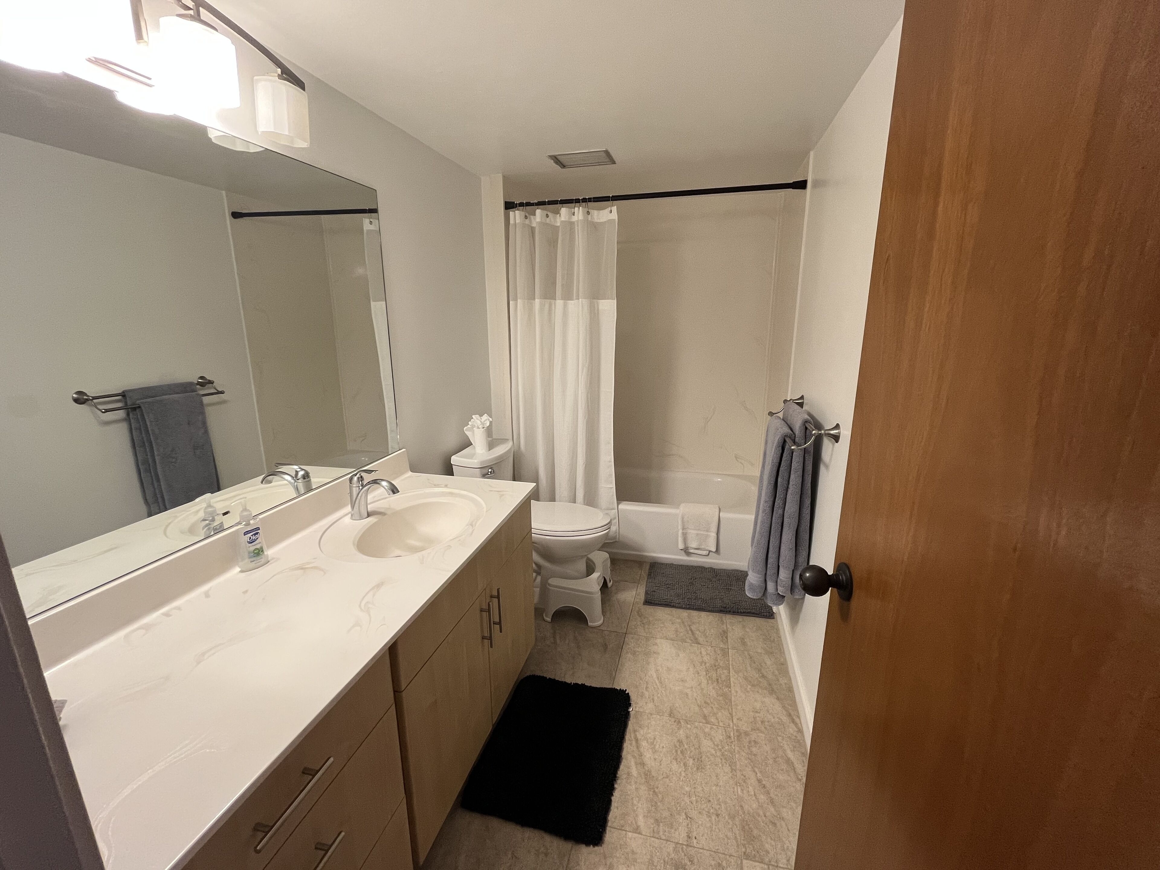 Hair dryer, towels, soap, shampoo