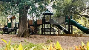 A playground with a slide, climbing structures, and benches under a large tree. - Redstick Cottage (Baton Rouge)