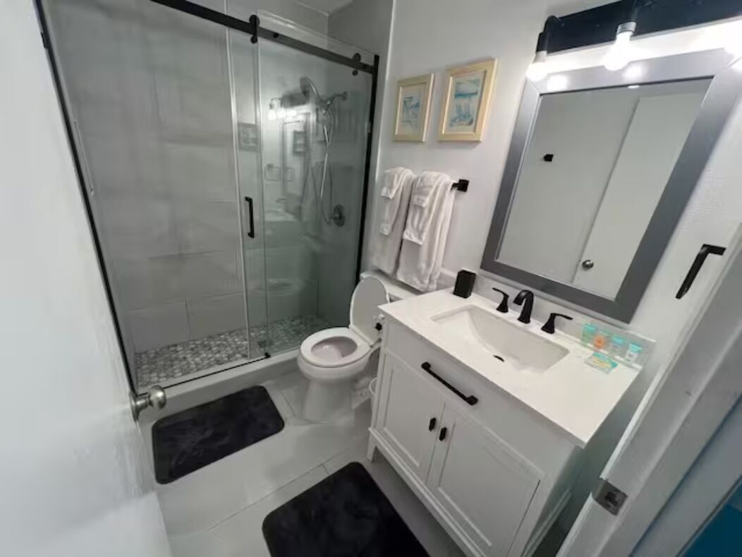 Hair dryer, towels, soap, toilet paper