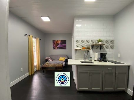 Standard Apartment | Living area