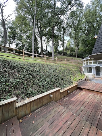 Back yard