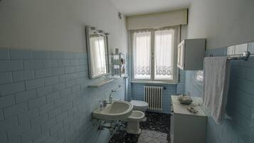 Combined shower/tub, hair dryer, bidet, towels