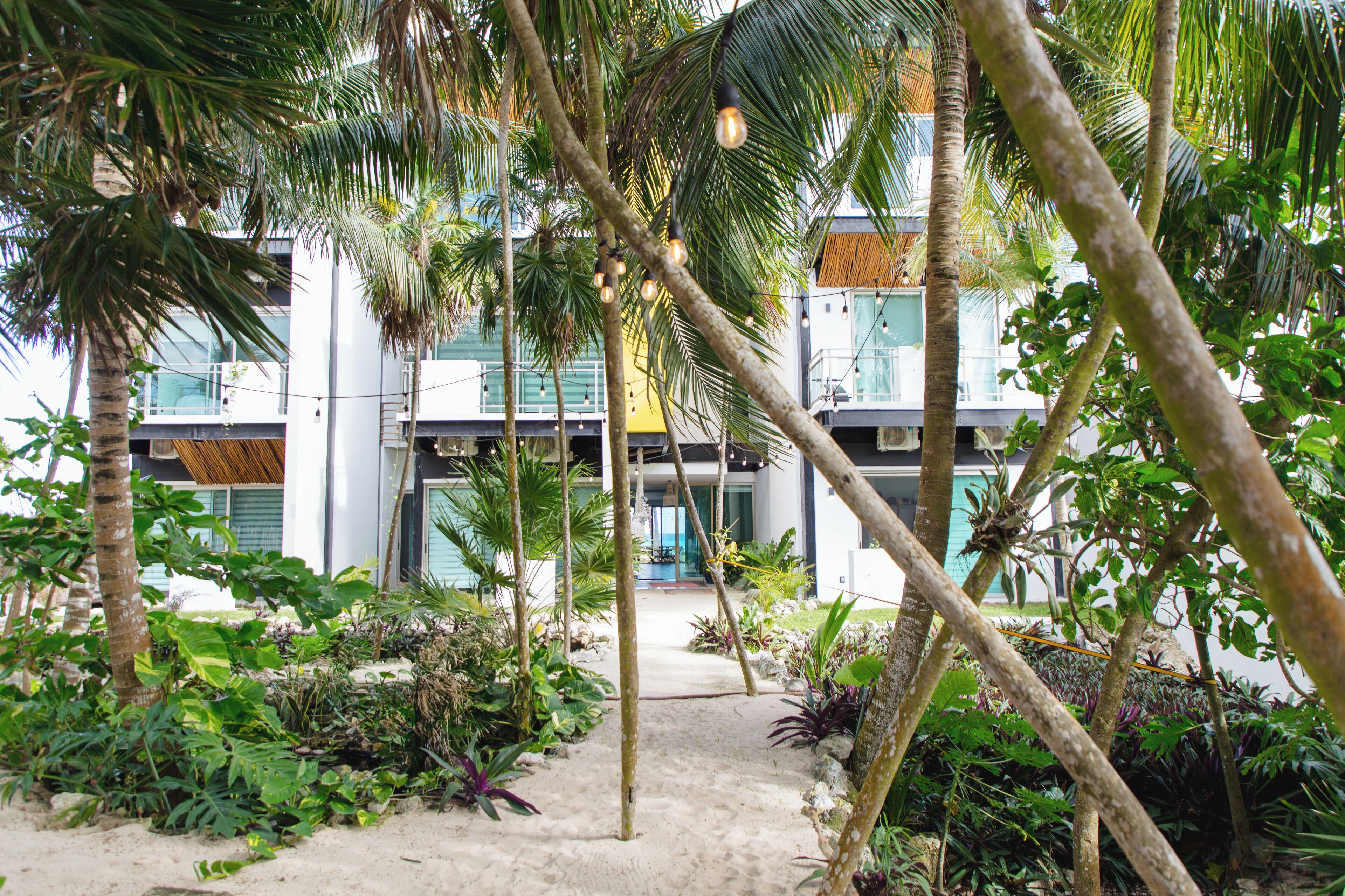 A tropical garden with palm trees and various plants, leading to a modern building with balconies and large windows.